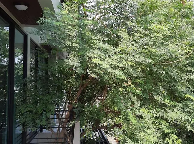 Pompom Apartment